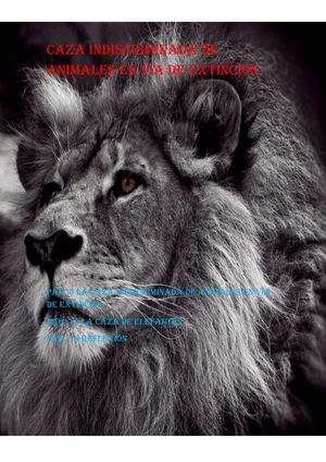 Caza Indiscriminada De Animales En Vía De Extinción