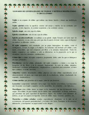Glosario De Generalidades De Tejidos Y Sistemas Respiratorio Y Circulatorio