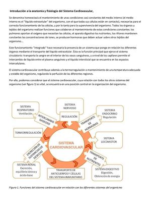 Fisiología Del Sistema 1