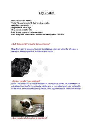 Daniela Ojeda Arriagada Ley Cholito