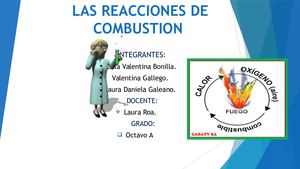 Reacciones De Combustion