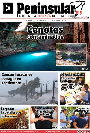 Edición 334 Completa