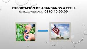 Exportación De Arandanos A Eeuu