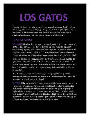 Los Gatos