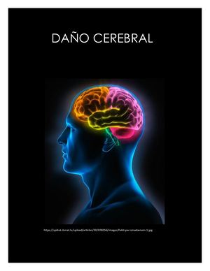 Cartilla Didactica, Daño Cerebral