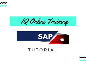 Sap HR Tutorial | SAP HR/HCM online training