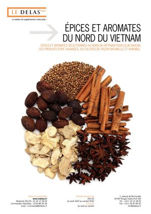 Gamme Épices et Aromates du Nord du Vietnam