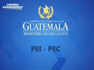 Cuadro Compativo Pei Pec