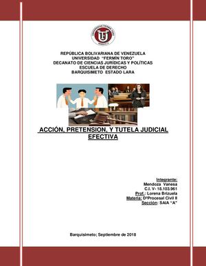 Acción, Pretensión, Y Tutela Judicial efectiva