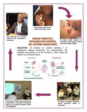 Unidad Temática I 2019 1