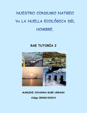 Rae Tutoría 2