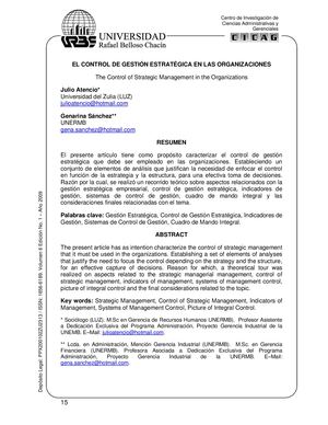 El Control De Gestión Estratégica En Las Organizaciones