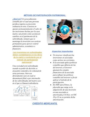 Metodo De Participación Patrimonial