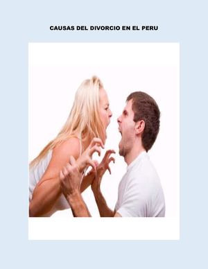 Causas Del Divorcio En El Peru Diana
