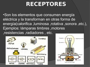 Los Receptores