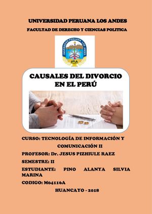 Causales Del Divorsio En El Perú