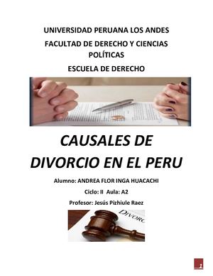 Causales De Divorcio En El Perú