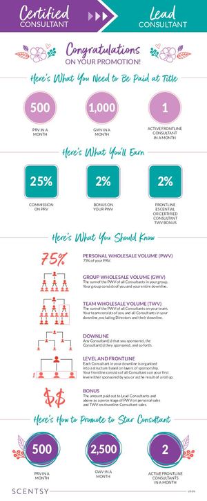 Certified Consultant to Lead Consultant