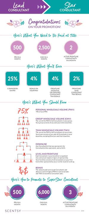 Lead Consultant to Star Consultant