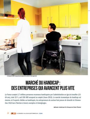 Focus Marché Du Handicap