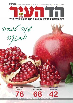 הד העיר מרכז - 455