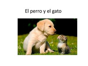El Perro Y El Gato