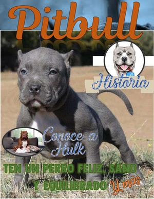 Revista Pitbull