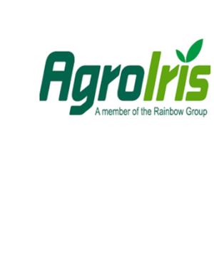 Trabajo Final Inversión