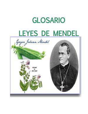Glosario Genetica Tutoria 2