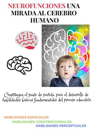 Neurofunciones una mirada al cerebro humano