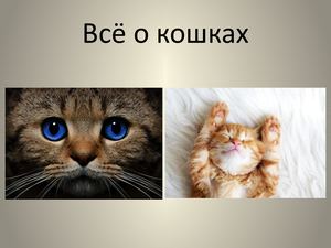 Презентация Microsoft Office Power Point (2)