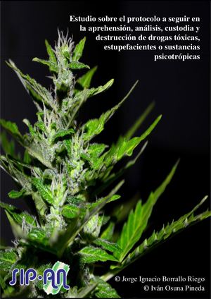 Estudio sobre el protocolo a seguir en la aprehensión, análisis, custodia y destrucción de drogas tóxicas, estupefacientes o sustancias psicotrópicas