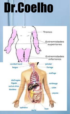 Revista sobre el cuerpo humano "Dr Coelho"