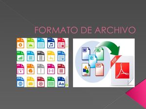 Formato De Archivo