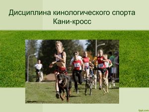 мы и кани кросс