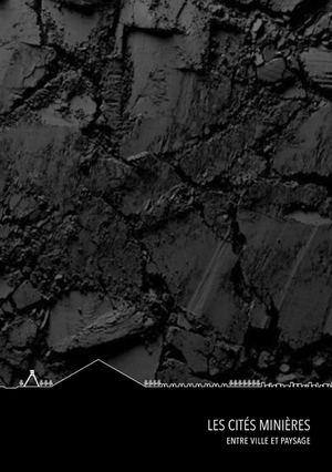 Les Cités Minières Entre Ville Et Paysage