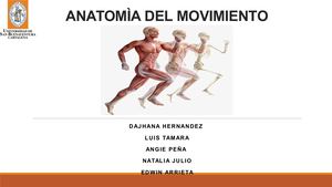 ANATOMÌA DEL MOVIMIENTO