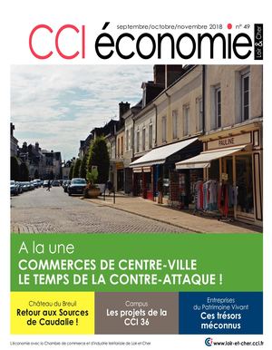 Cci Economie N49