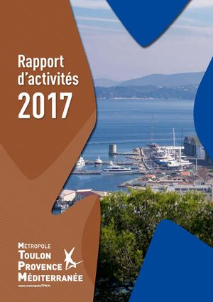 Rapport d'activités TPM 2017