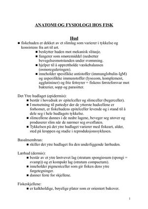 Anatomi Og Fysiologi Hos Fisk