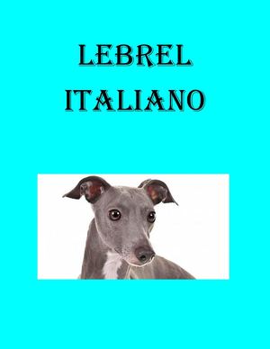 Lebrel Italiano