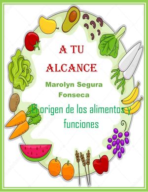Origen de los alimentos y funciones