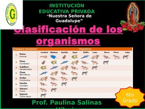 CLASIFICACIÓN DE LOS ANIMALES