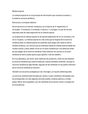 Anatomia Trabajo Expo