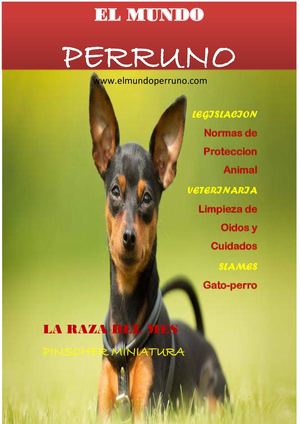 Revista Perro Converted Compressed
