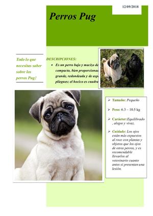 Perros Pugh 2