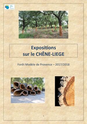 Synopsis des Expositions sur le chêne-liège
