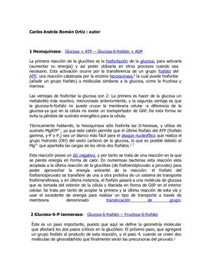 Visión De La Glucolisis