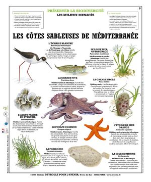 Les Côtes Sableuses de Méditerranée - Deyrolles