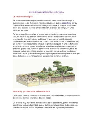 Preguntas Generadoras III Tutoria